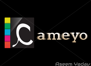 Logo Design by Aseem Yadav