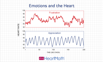 Diseño de Tarjeta de Presentación por Kreative Krow para este proyecto | Diseño #2215453