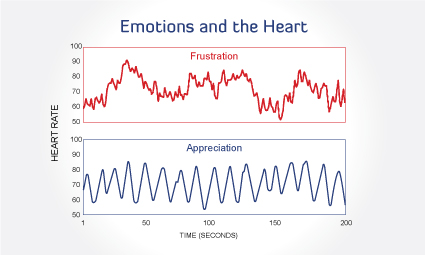 Diseño de Tarjeta de Presentación por Kreative Krow para este proyecto | Diseño #2215462