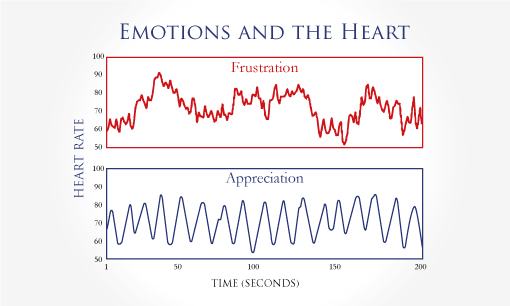 Diseño de Tarjeta de Presentación por Kreative Krow para este proyecto | Diseño #2222220