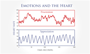 Diseño de Tarjeta de Presentación por Kreative Krow para este proyecto | Diseño: #2222220
