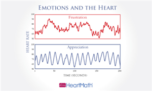 Diseño de Tarjeta de Presentación por Kreative Krow para este proyecto | Diseño: #2223166