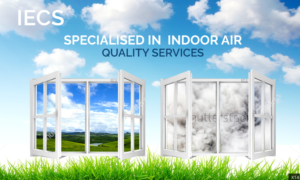 Web-Design von pb für dieses Projekt | Design: #10377334