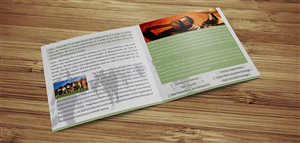 Brochure Design by Insônia Criativa for Ligris & Associates | Design: #2256367