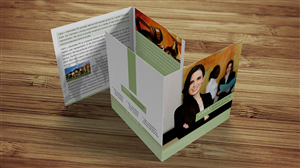 Brochure Design by Insônia Criativa for Ligris & Associates | Design: #2256378