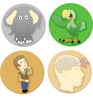 Icon Design by SamyPhotoshop for this project | Design: #10461714