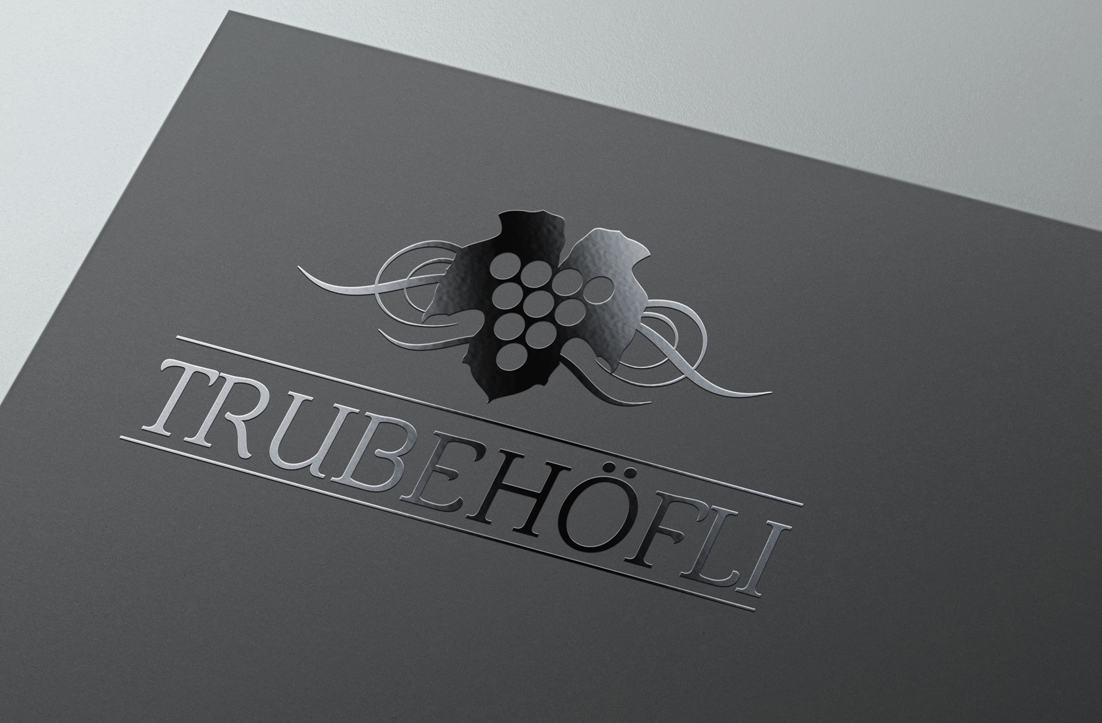 Logo Design by GLDesigns for InTheNet AG | Design #10364888