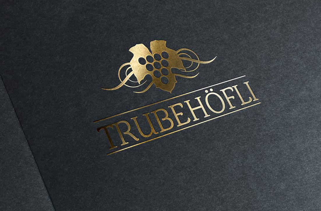 Logo Design by GLDesigns for InTheNet AG | Design #10364889