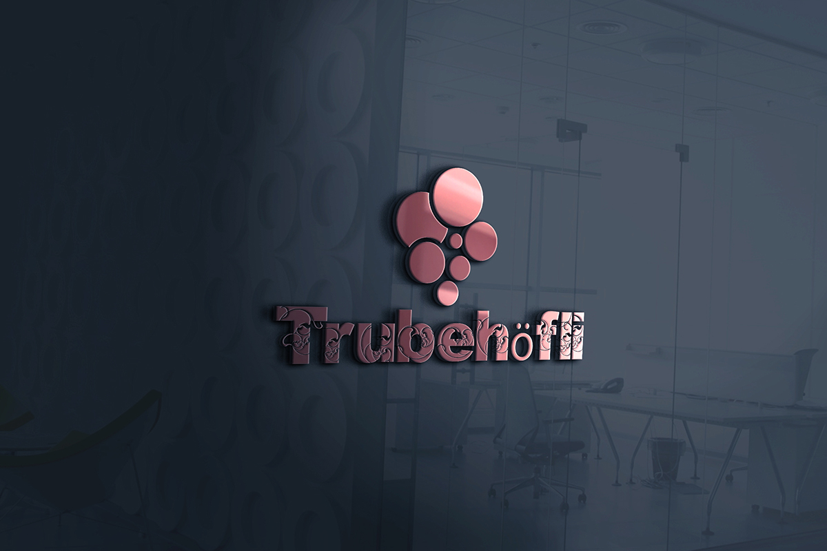 Diseño de Logo por Ather Ali Khan para InTheNet AG | Diseño #10403229