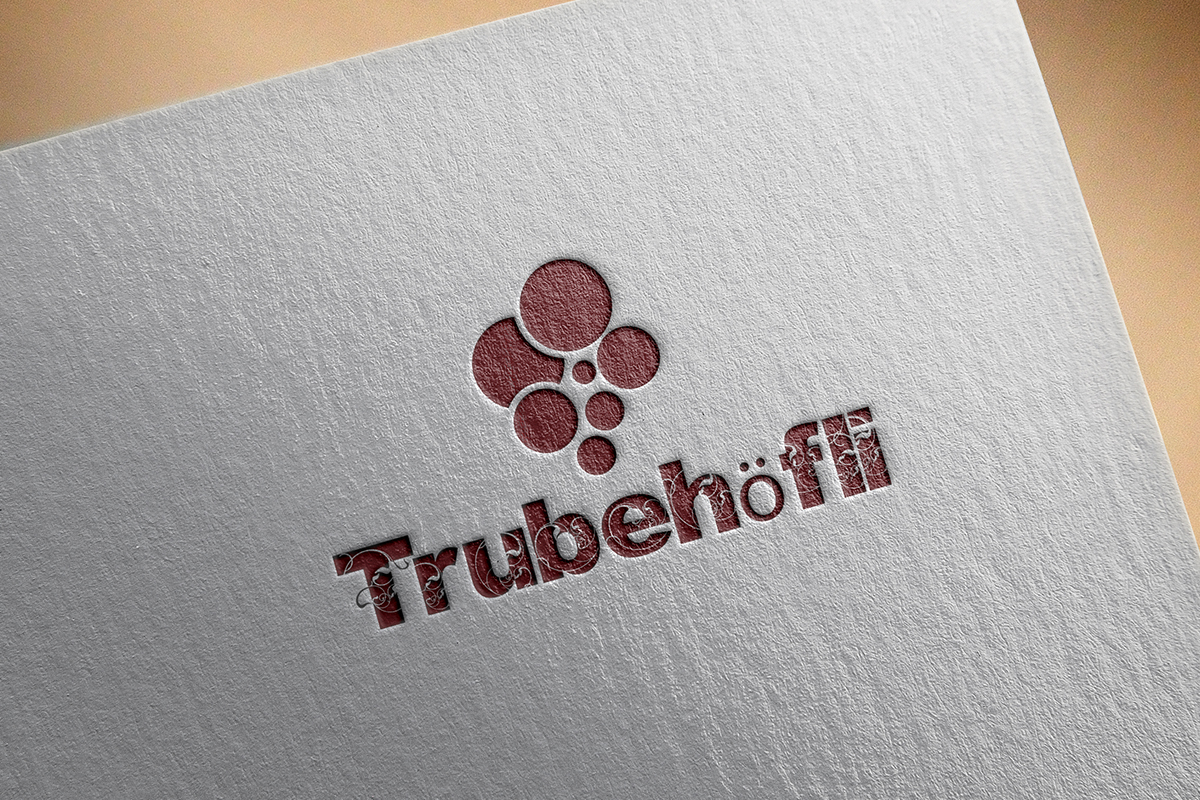 Logo-Design von Ather Ali Khan für InTheNet AG | Design #10403230