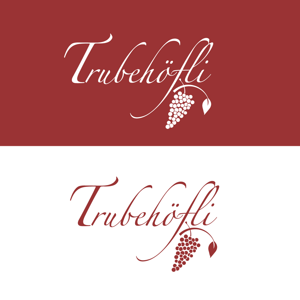 Diseño de Logo por Thomasdesign para InTheNet AG | Diseño #10455652