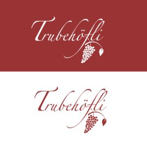 Diseño de Logo por Thomasdesign para InTheNet AG | Diseño #10455652