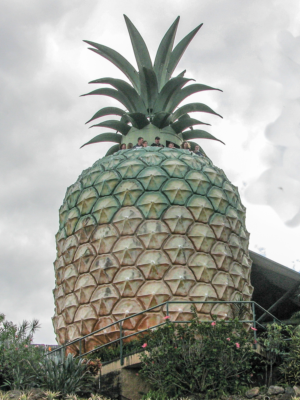 Photography by Swish1940