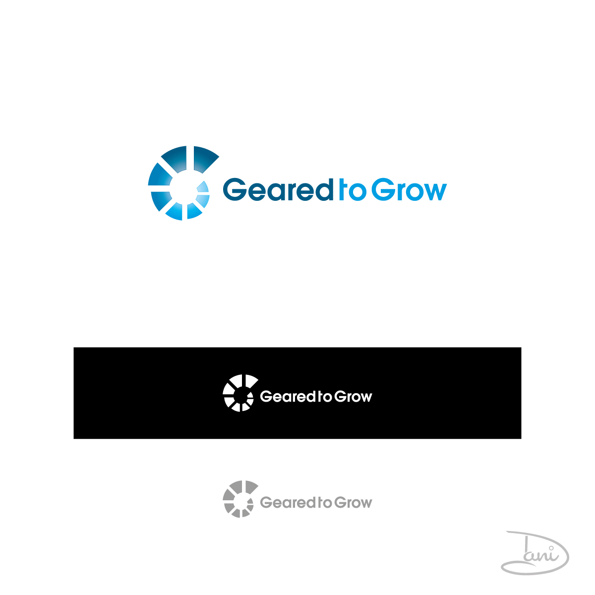 Logo-Design von Dani_dani für IOLITE Global Consulting | Design #2216448