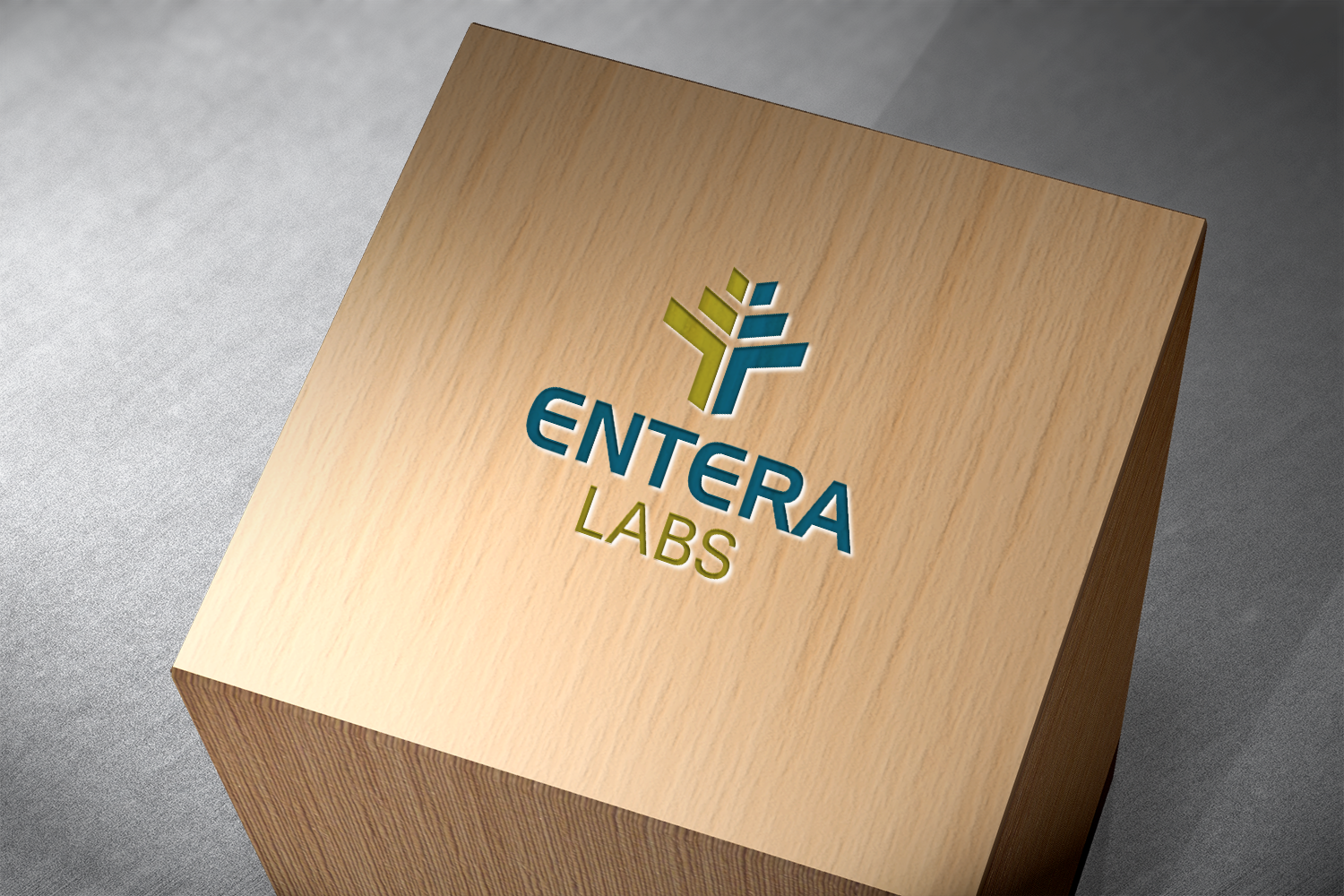 Logo Design by designsexperts for this project | Design #10444656