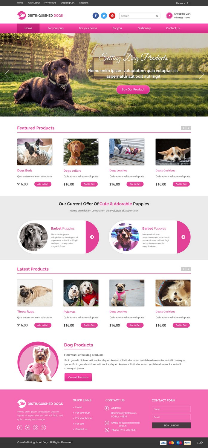 Diseño Web por pb para este proyecto | Diseño #10394448