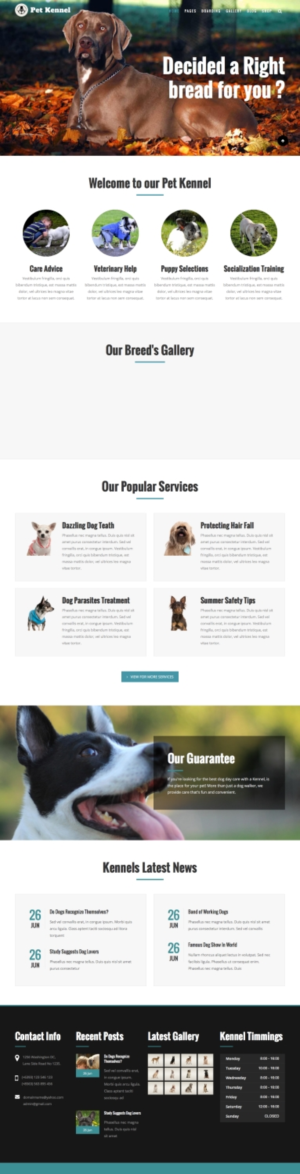 Web Design by cCopilot