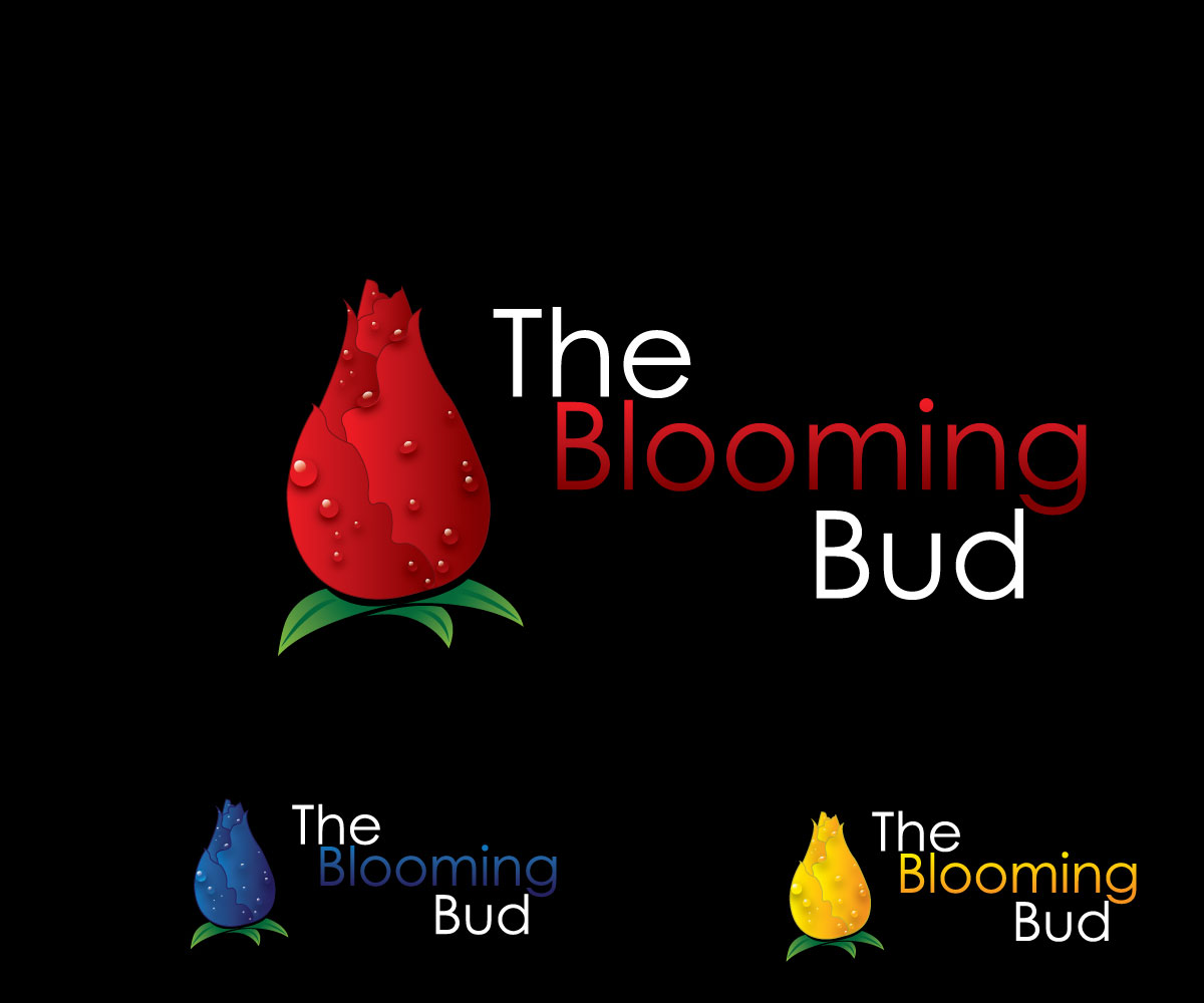 Logo Design by Aeidan for this project | Design #10377043