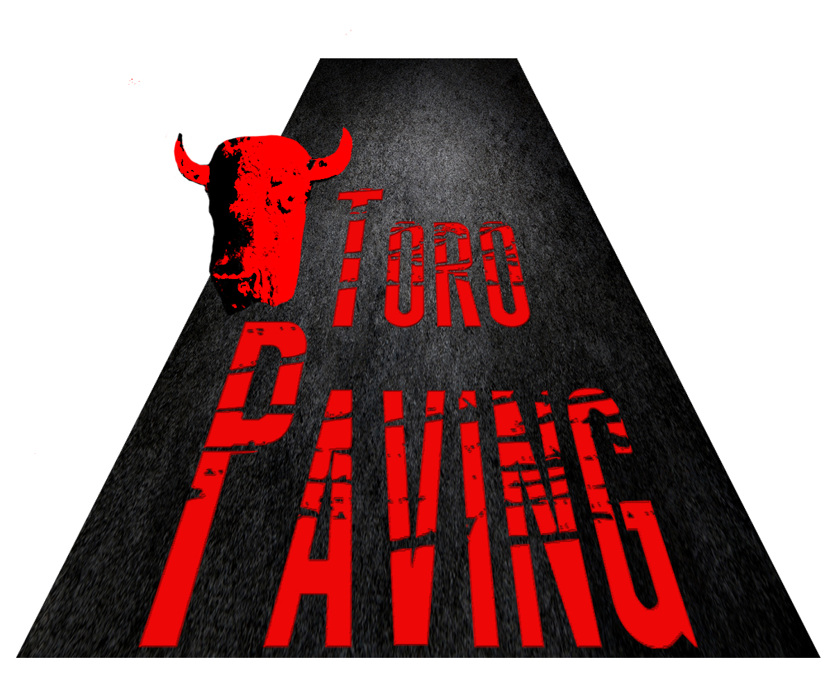 Logo Design by Cordell Photographic Imaging for Eagle Paving | Design #2193394