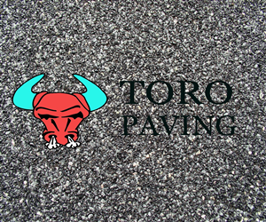 Logo Design by Bilalbilly