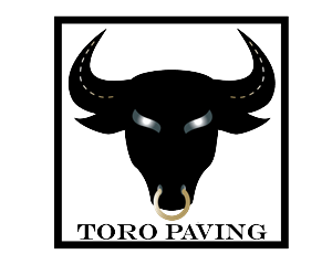 Logo Design by Amber for Eagle Paving | Design: #2186670