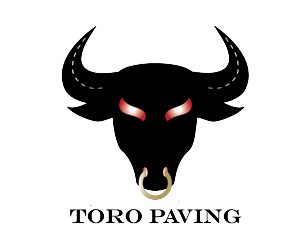 Logo Design by Amber for Eagle Paving | Design: #2190303