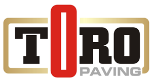 Logo Design by indesaincreative