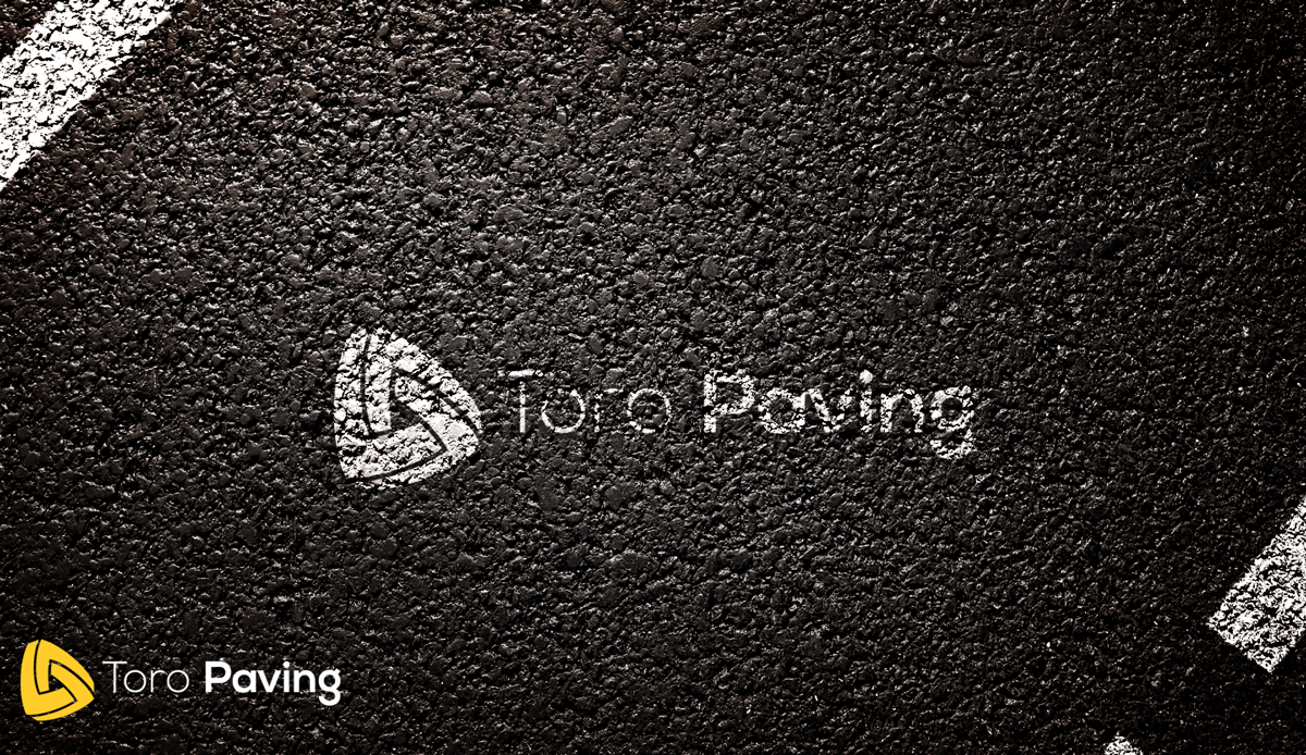 Design de Logo par Armir.B pour Eagle Paving | Design #2185841