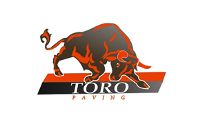 Logo Design by Apurwa