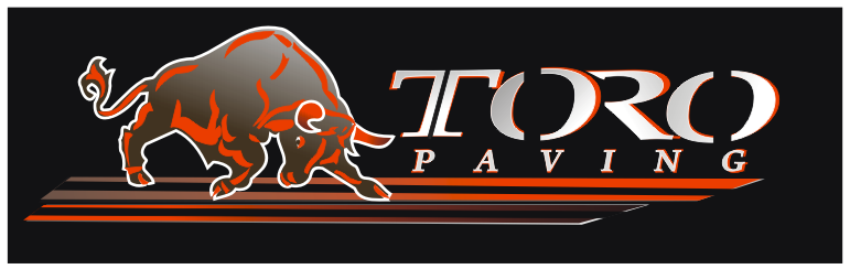 Logo Design by Apurwa for Eagle Paving | Design #2200025