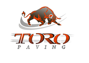 Logo Design by Apurwa for Eagle Paving | Design: #2211041