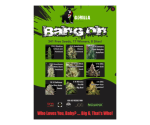 Banner Ad Design by J Mahesh for Gorilla Inc LTD | Design: #10386076