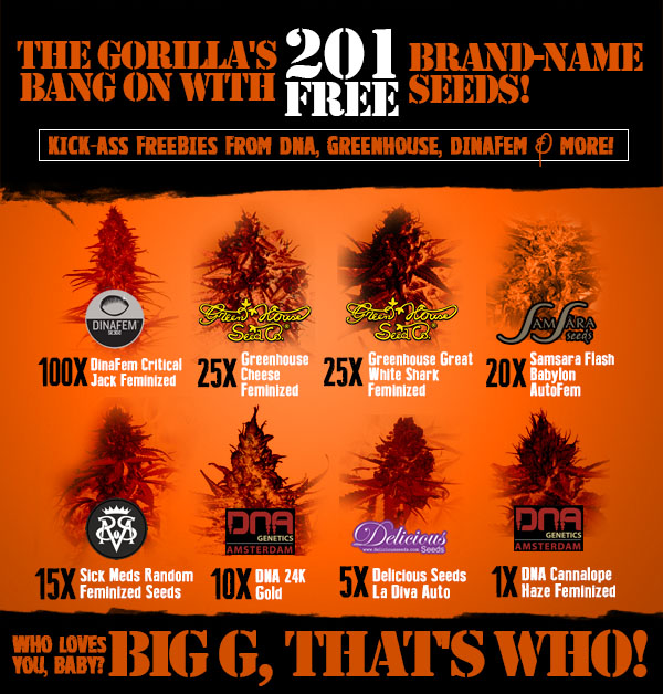 Design de Bannière  par Juuri pour Gorilla Inc LTD | Design #10376376