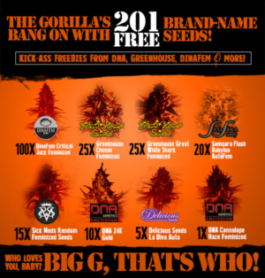 Banner Ad Design by Juuri for Gorilla Inc LTD | Design: #10376376