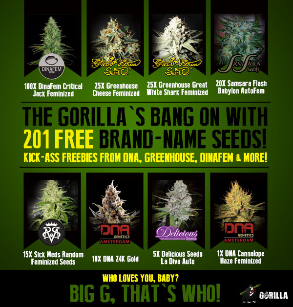 Design de Bannière  par Juuri pour Gorilla Inc LTD | Design #10376377