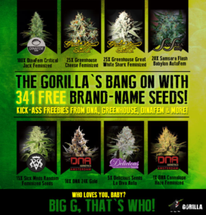 Banner-Design von Juuri für Gorilla Inc LTD | Design #10376888