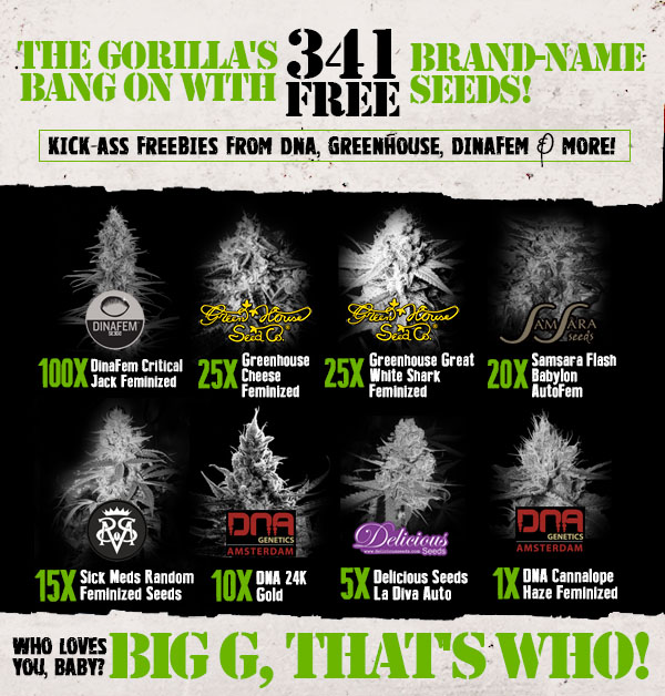 Banner Ad Design by Juuri for Gorilla Inc LTD | Design #10376889