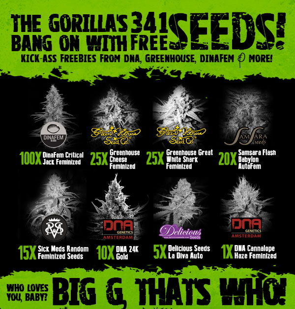 Design de Bannière  par Juuri pour Gorilla Inc LTD | Design #10381069