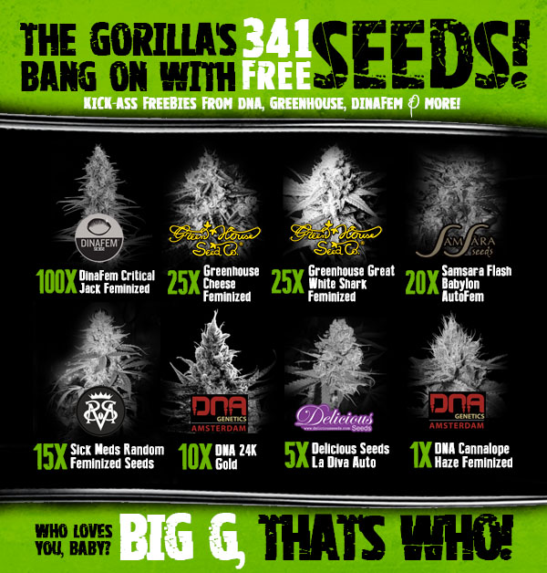 Design de Bannière  par Juuri pour Gorilla Inc LTD | Design #10381070