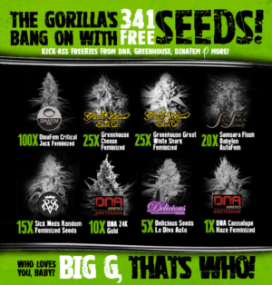 Banner Ad Design by Juuri for Gorilla Inc LTD | Design: #10381070