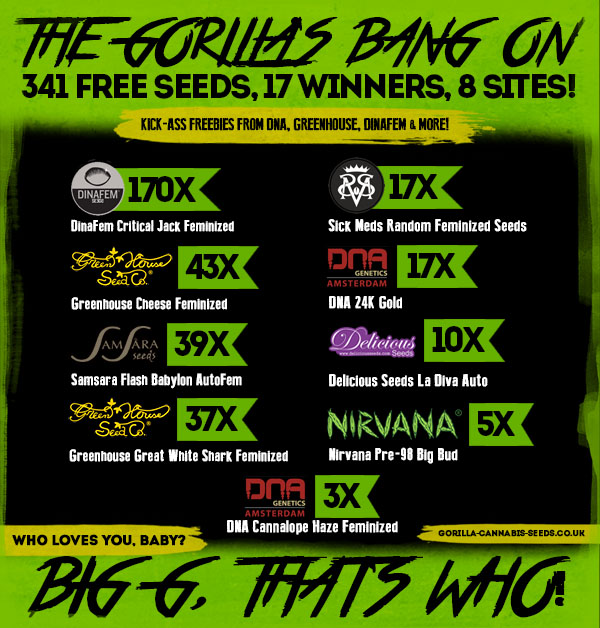 Banner Ad Design by Juuri for Gorilla Inc LTD | Design #10393449