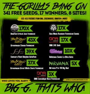 Banner required for Gorilla Seeds compeition | Design de Bannière  par Juuri