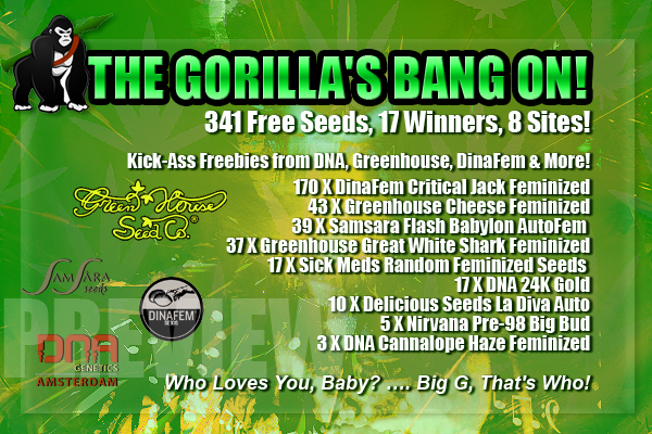 Design de Bannière  par SamyPhotoshop pour Gorilla Inc LTD | Design #10388497