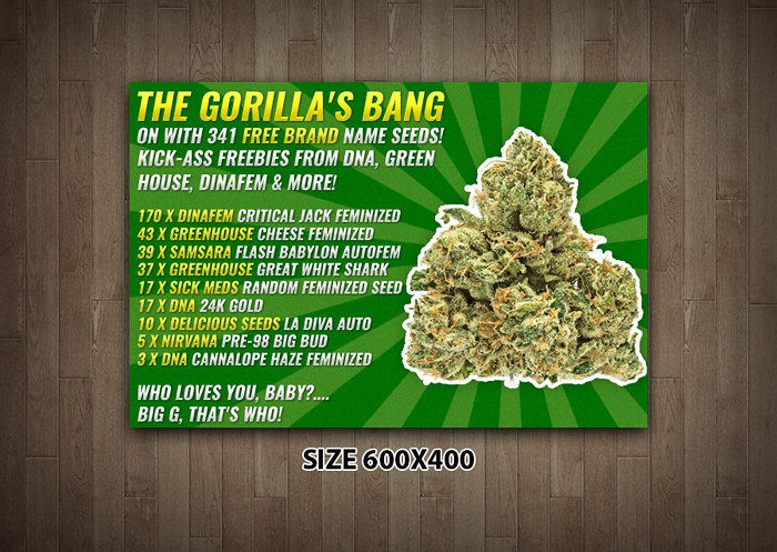 Design de Bannière  par JustACreative1 pour Gorilla Inc LTD | Design #10386197