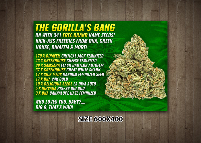 Design de Bannière  par JustACreative1 pour Gorilla Inc LTD | Design #10386208