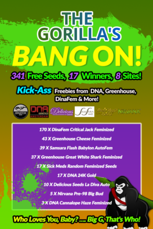 Banner Ad Design by Marimini