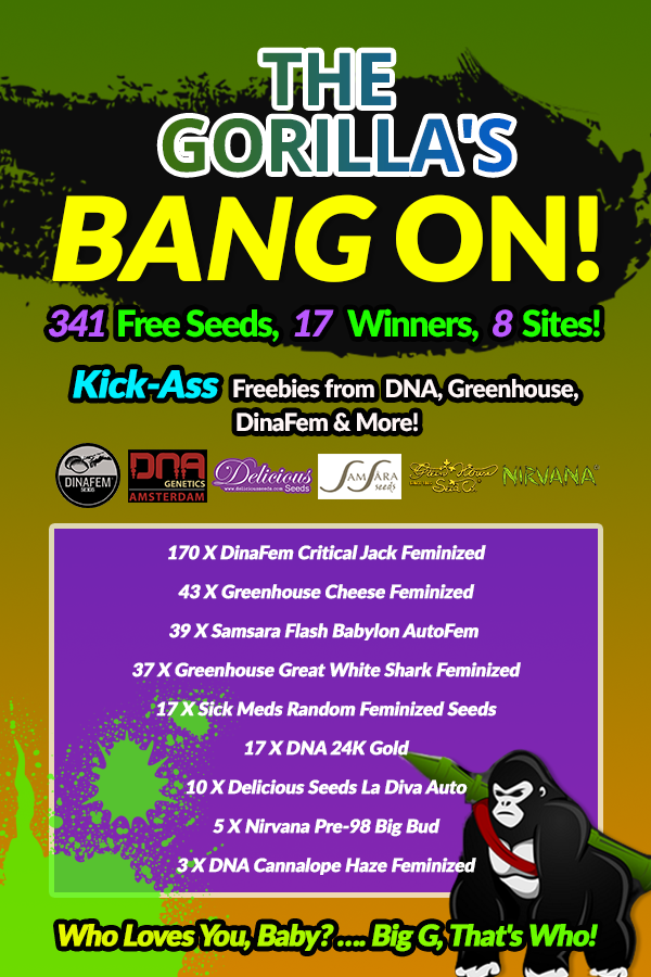 Banner Ad Design by Marimini for Gorilla Inc LTD | Design #10385734