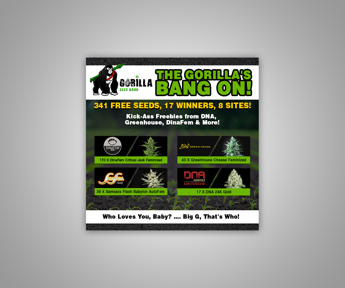 Banner Ad Design by RubelRir for Gorilla Inc LTD | Design #10392108