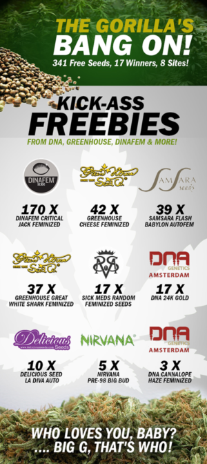 Banner required for Gorilla Seeds compeition | Design de Bannière  par IG Creative Solutions
