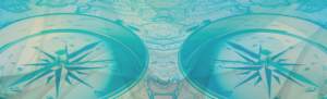 Twitter Design by spena for Blue Lynx Consulting LLC | Design: #10409237